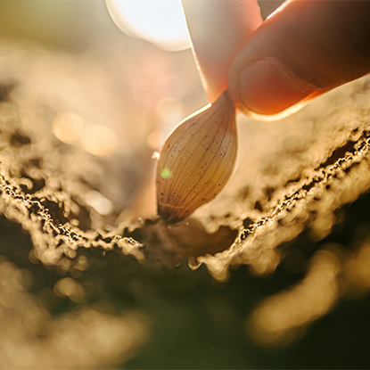 เกษตรกรรมและป่าไม้